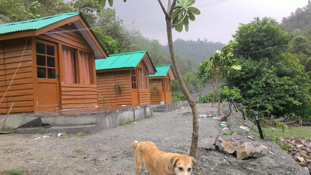 Junglee Resort Rajaji National Park Rishikesh Phòng bức ảnh