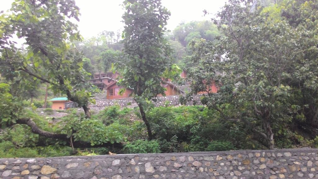 Junglee Resort Rajaji National Park Rishikesh Phòng bức ảnh